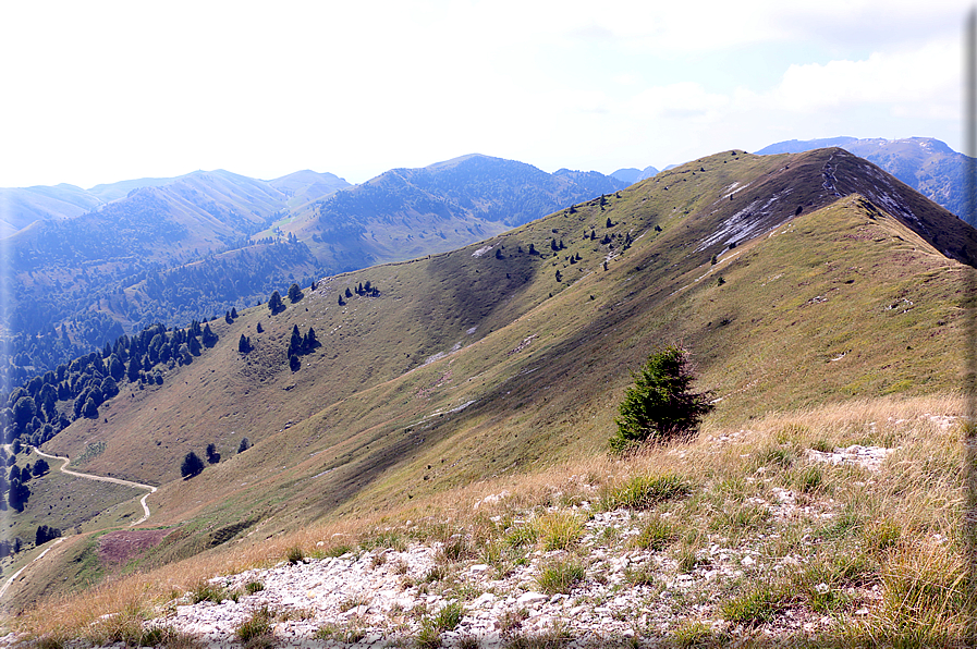 foto Monte Solarolo